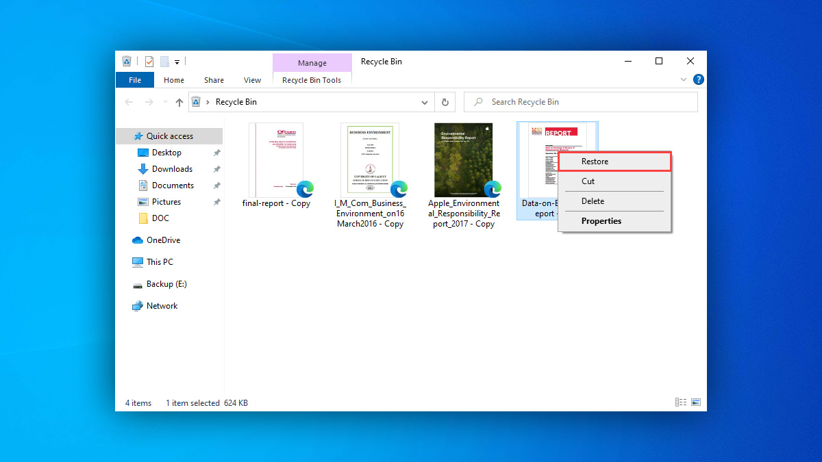 restore pdf recycle bin