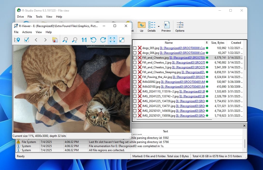 R-Studio Previewing Files
