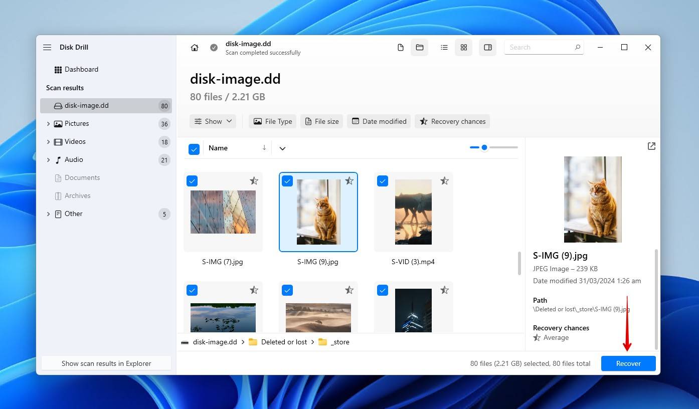 Selecting the files for recovery.
