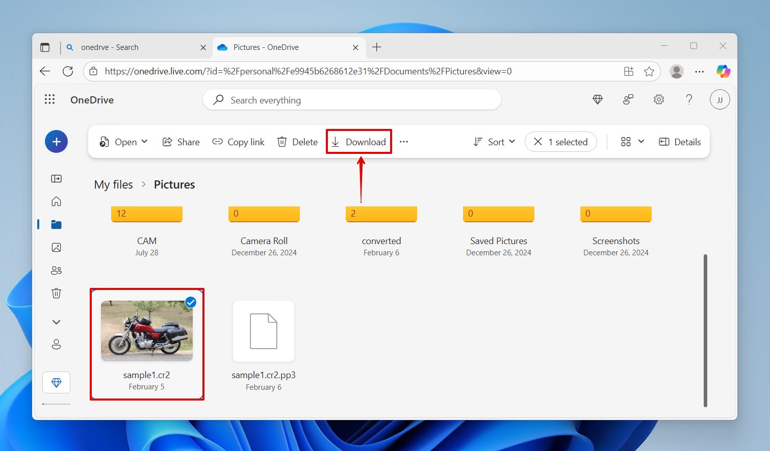 Downloading the OneDrive file.