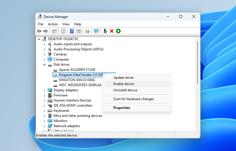 enable usb drive