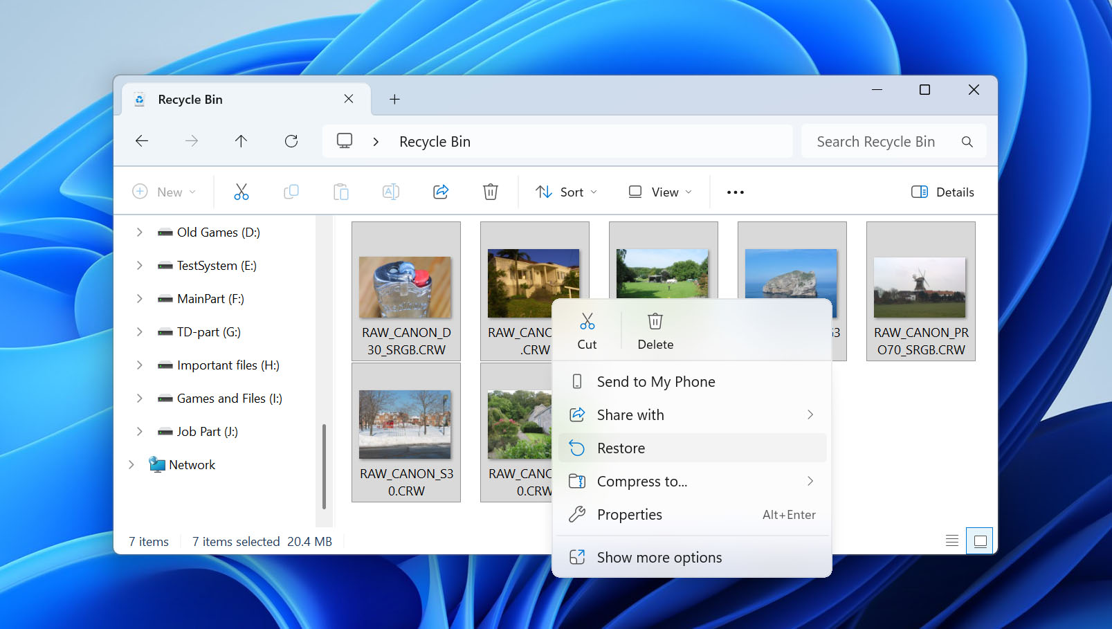 restore files from recycle bin