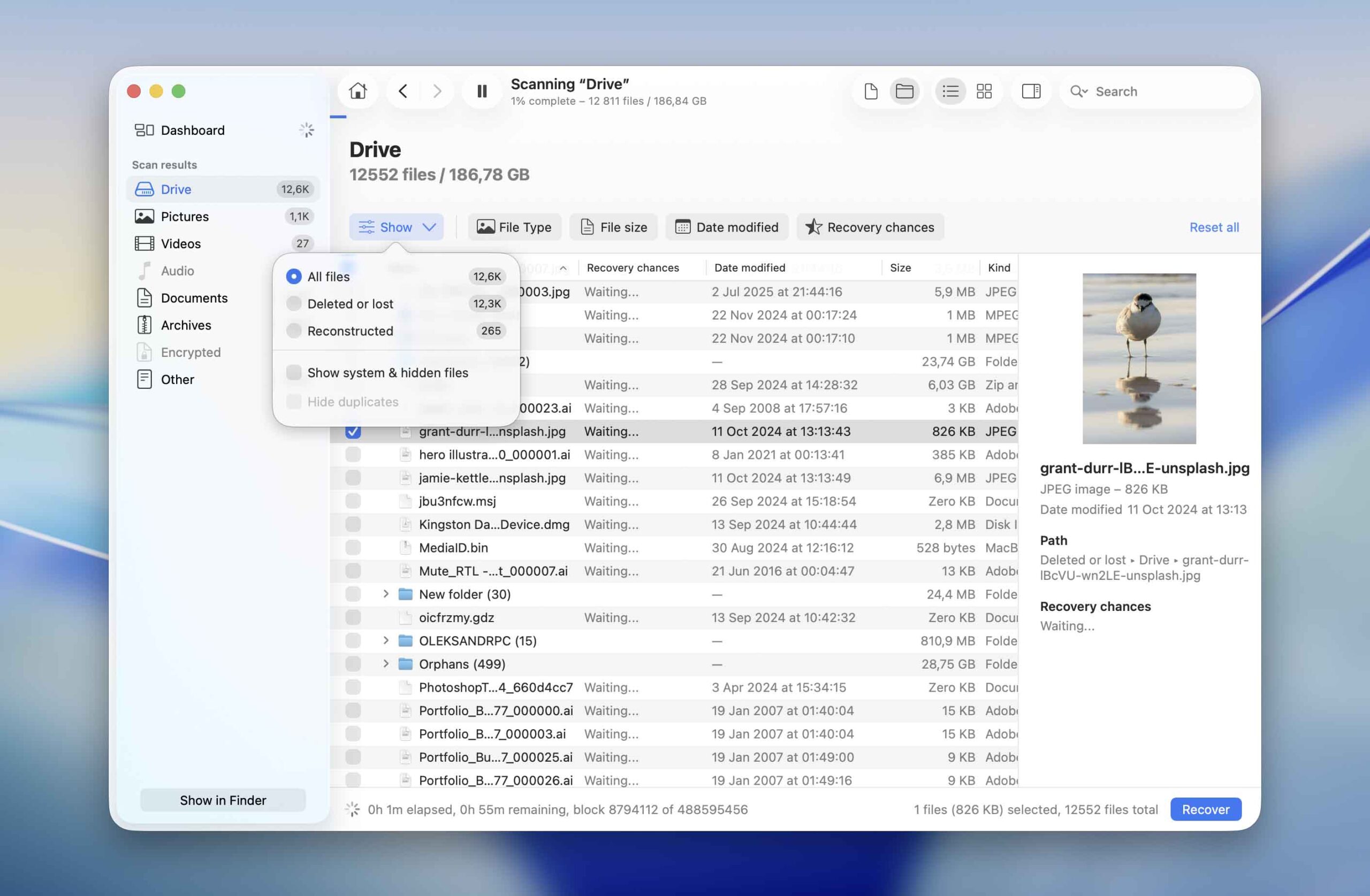 disk drill results categories