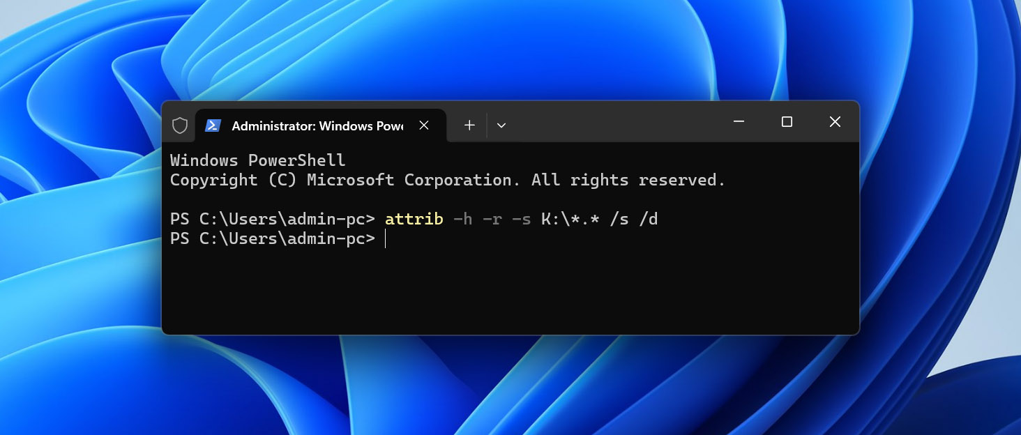 run attrib command