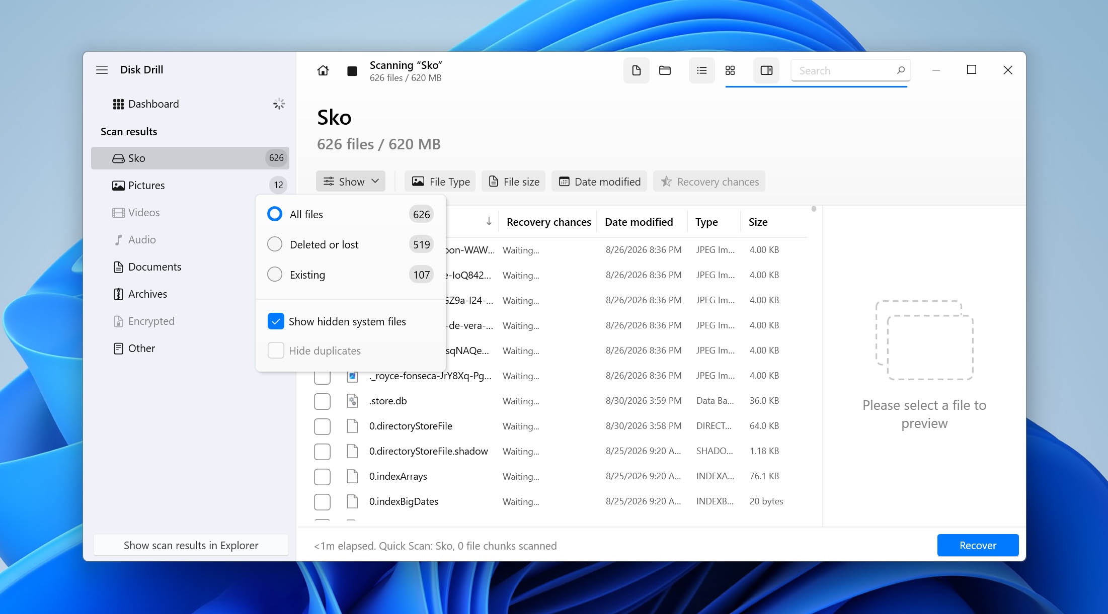 show hidden files in disk drill results